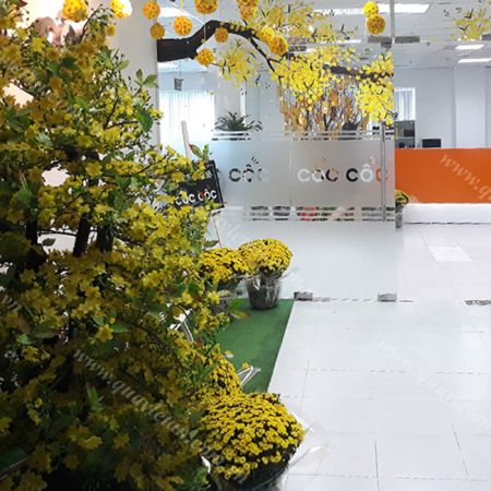 Phòng LỄ TÂN REC 11
